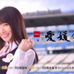 社会問題 4